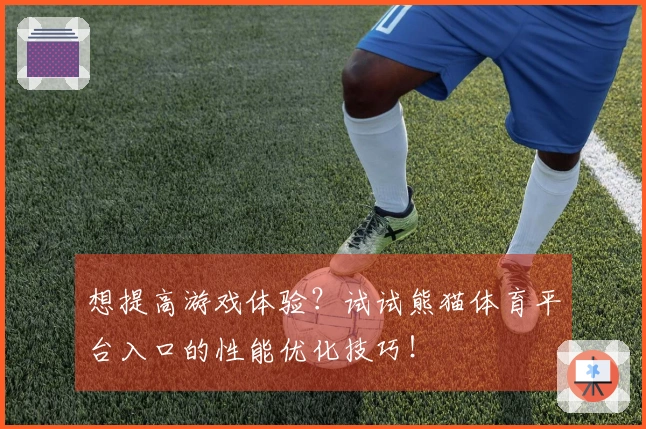 想提高游戏体验？试试熊猫体育平台入口的性能优化技巧！